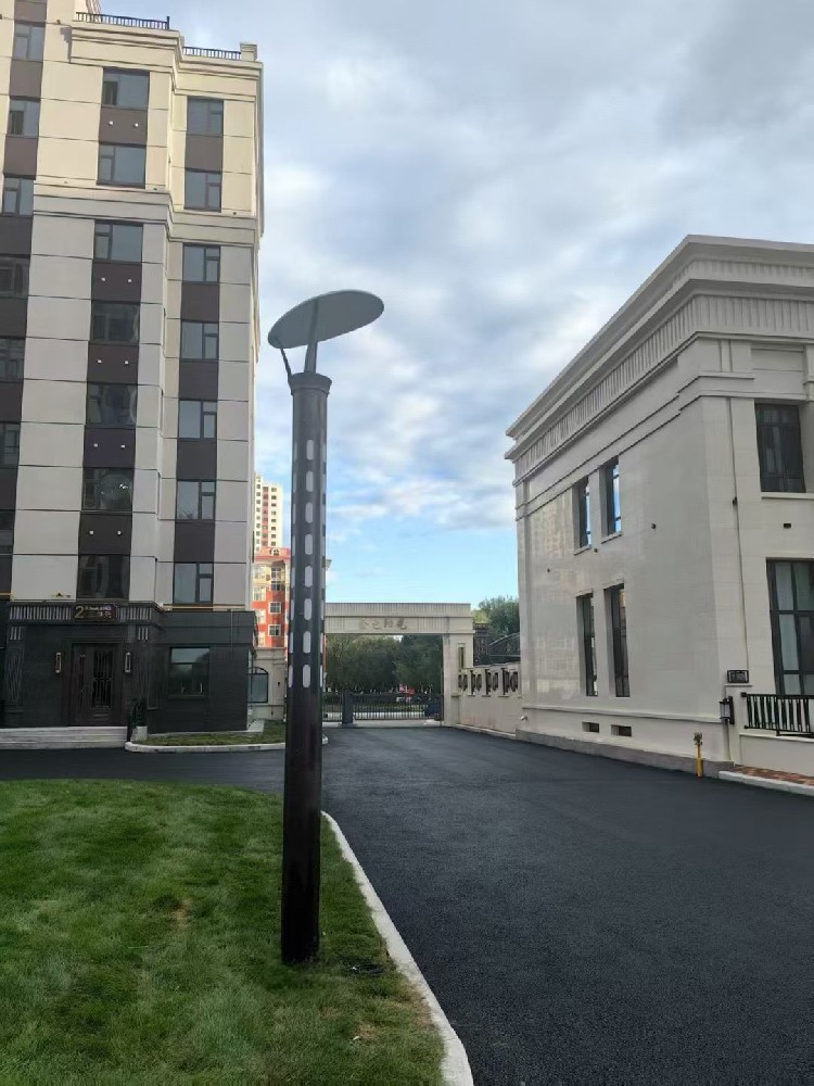 衢州高端小区焕新夜景：创阳 3.5 米市电庭院灯点亮品质生活