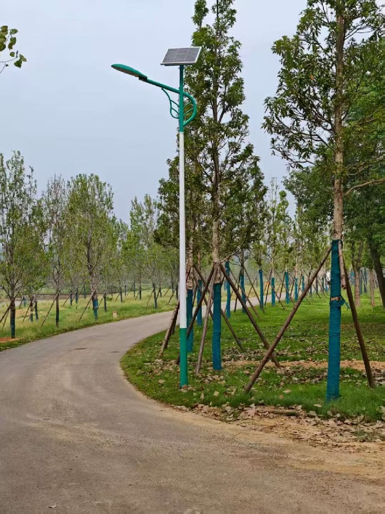 创阳照明：定制太阳能路灯，点亮多元场景