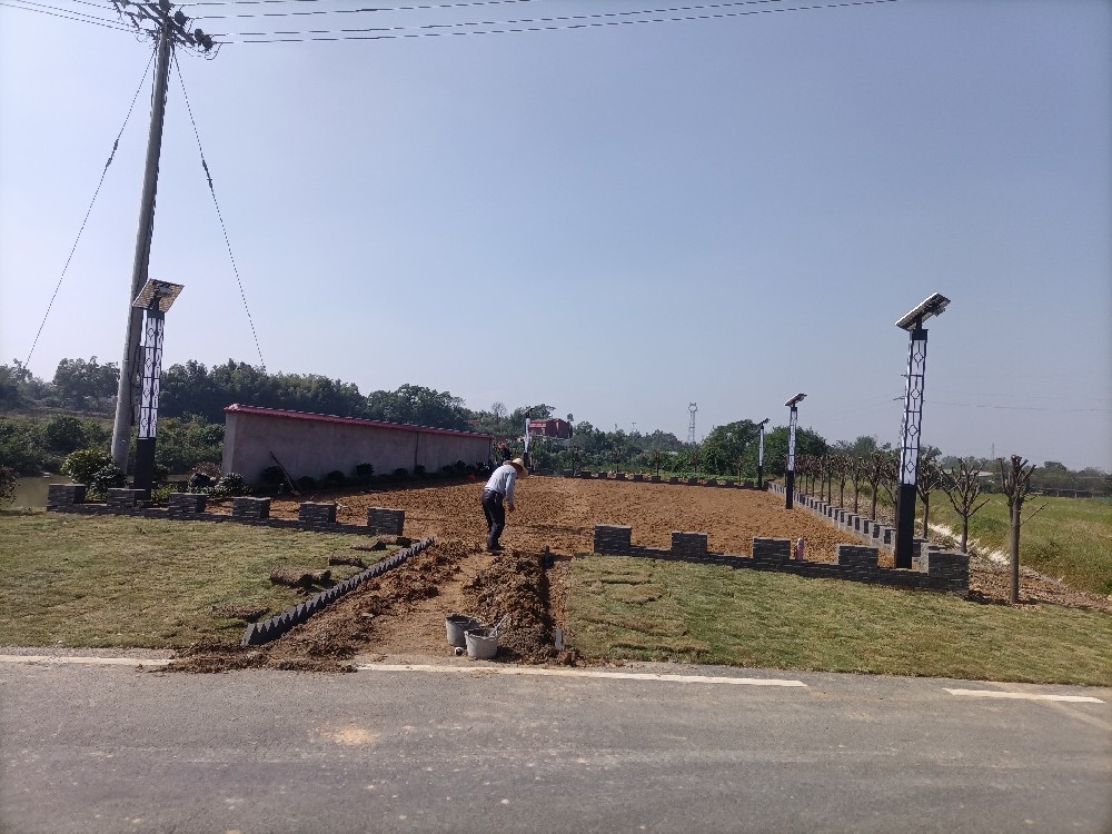 太阳能庭院灯：永州种植园里的温情照明与生态亮色