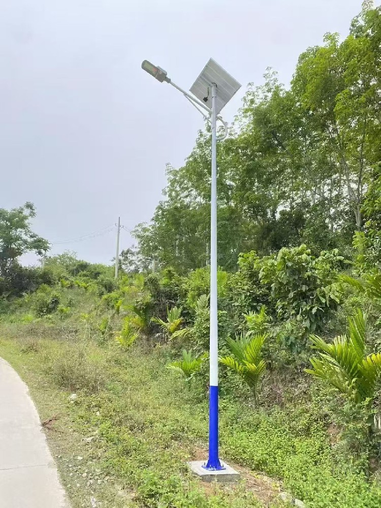 太阳能路灯照亮舞钢村振兴路