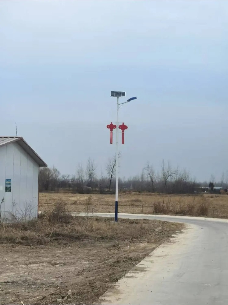 陕西安康乡村振兴添新景 150 盏 7 米太阳能路灯点亮和美乡村