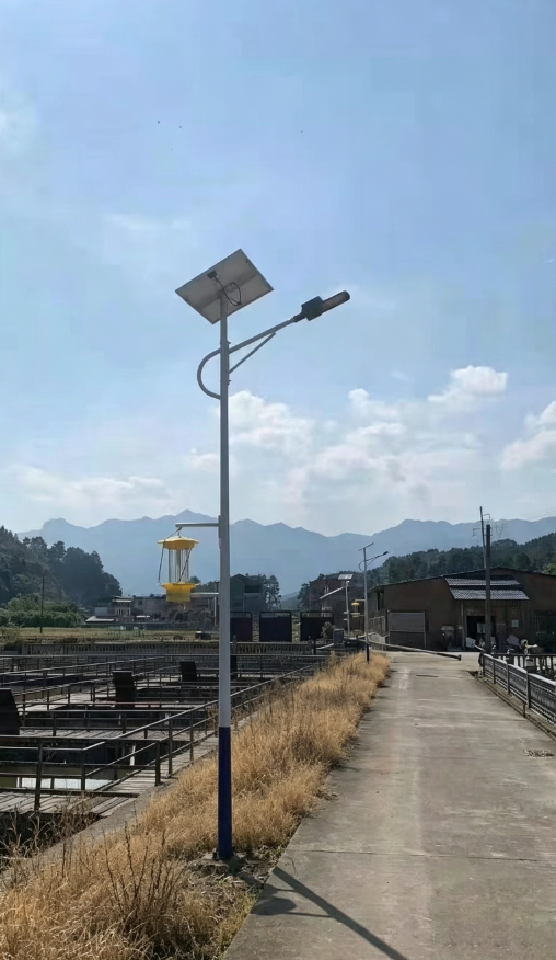 湘西凤凰亮化再升级，创阳照明 6 米太阳能路灯落地景区沿线